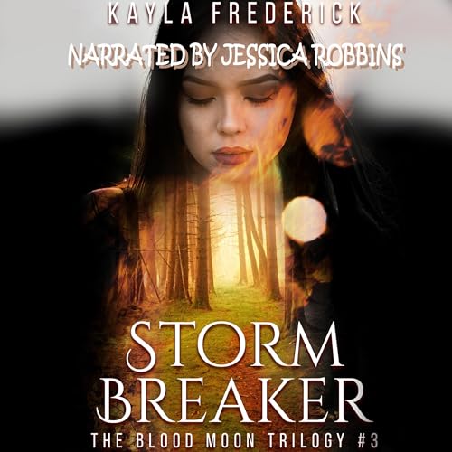Cover of Storm Breaker