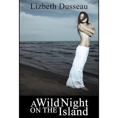 Cover of A Wild Night On The Island