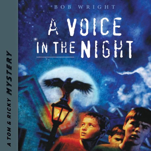 Cover of A Voice in the Night