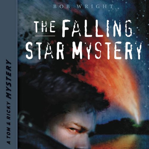 Cover of The Falling Star Mystery