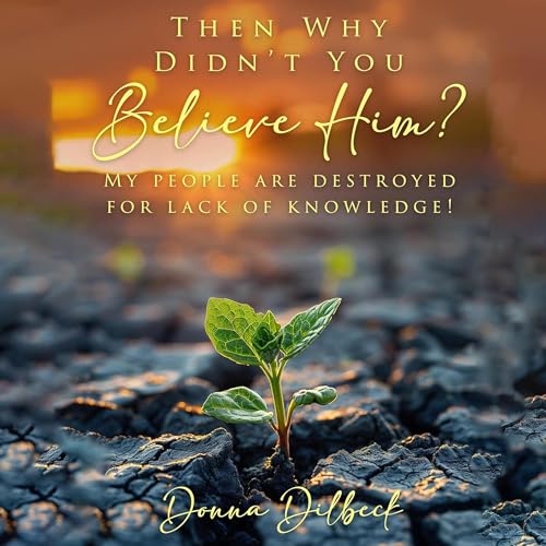 Cover of Then Why Didn’t You Believe Him?