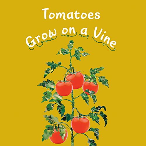 Cover of Tomatoes Grow on a Vine