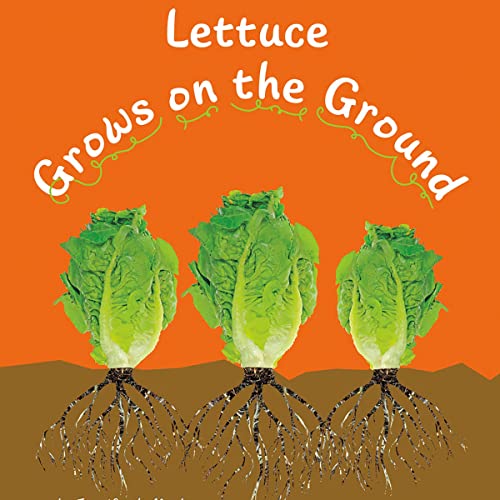 Cover of Lettuce Grows on the Ground
