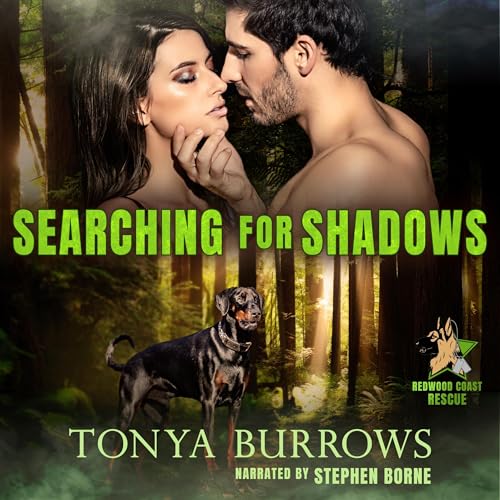 Cover of Searching for Shadows