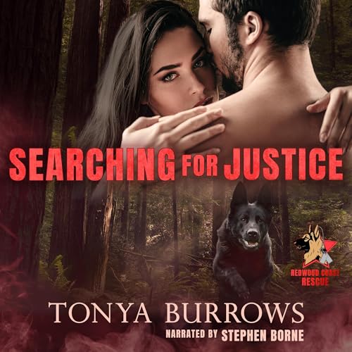 Cover of Searching for Justice