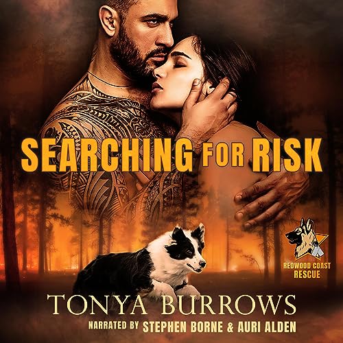 Cover of Searching for Risk
