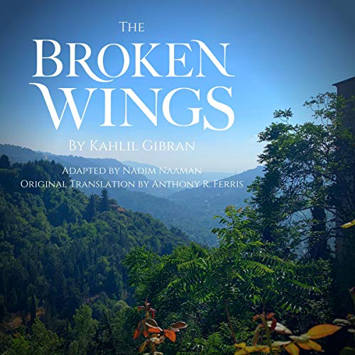 Cover of The Broken Wings