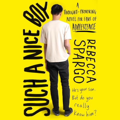 Cover of Such a Nice Boy