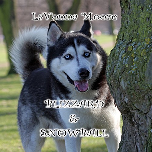 Cover of Blizzard & Snowball