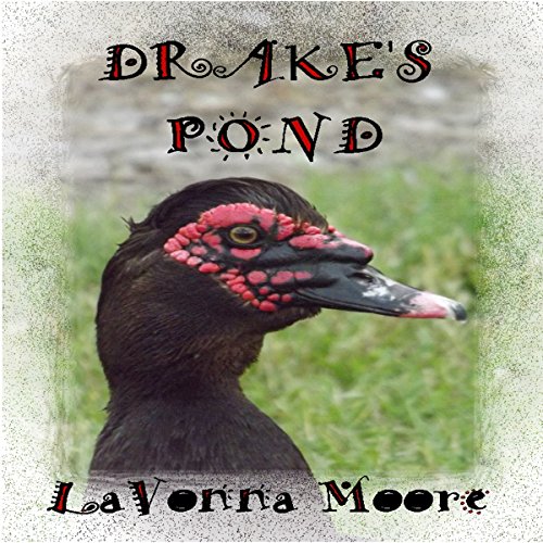 Cover of Drake's Pond