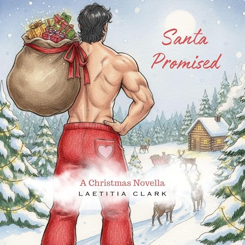 Cover of Santa Promised