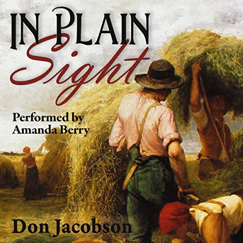 Cover of In Plain Sight