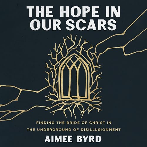 Cover of The Hope in Our Scars