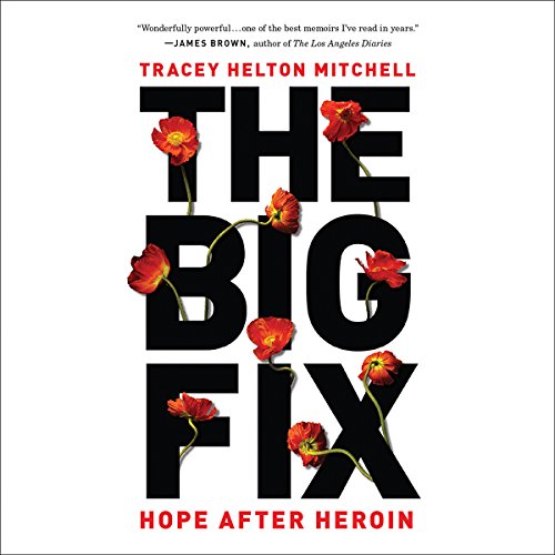 Cover of The Big Fix