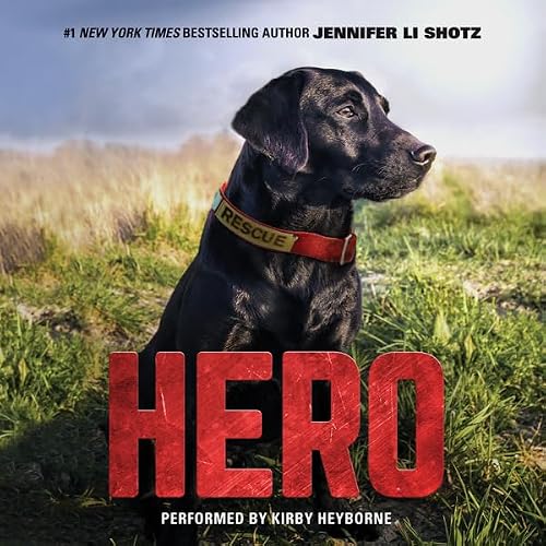 Cover of Hero