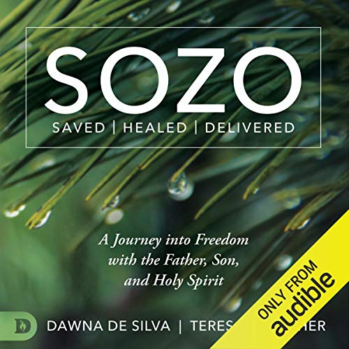 Cover of SOZO Saved Healed Delivered