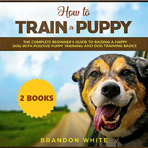 Cover of How to Train a Puppy