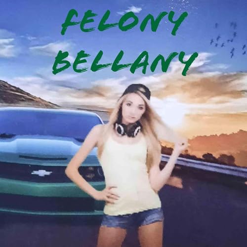 Cover of Felony Bellany