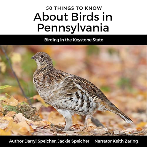 Cover of 50 Things to Know About Birds in Pennsylvania