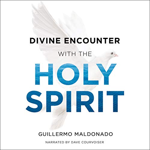 Cover of Divine Encounter with the Holy Spirit