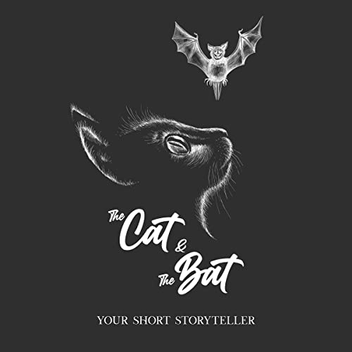 Cover of The Cat and The Bat
