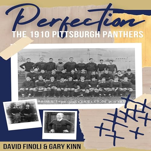 Cover of Perfection