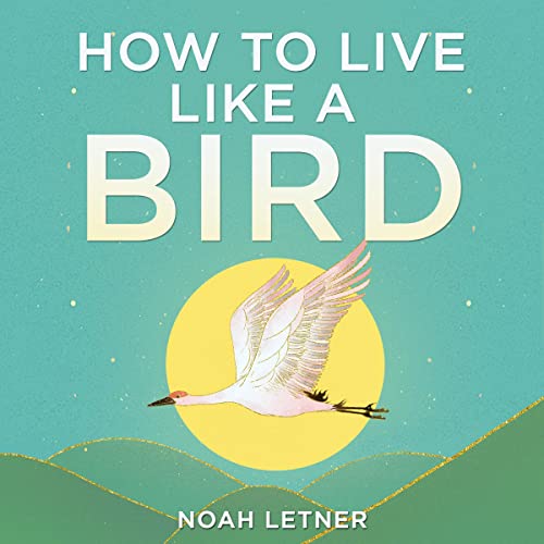 Cover of How to Live Like a Bird