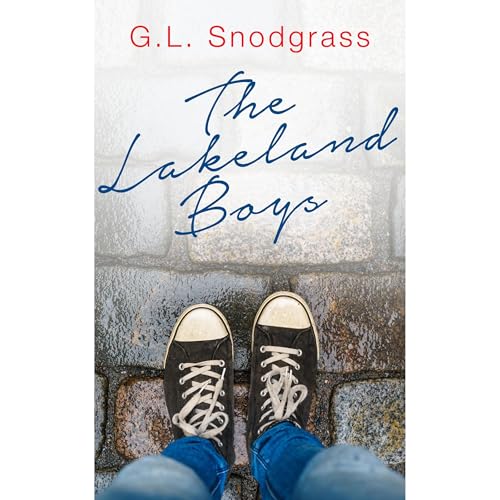 Cover of The Lakeland Boys