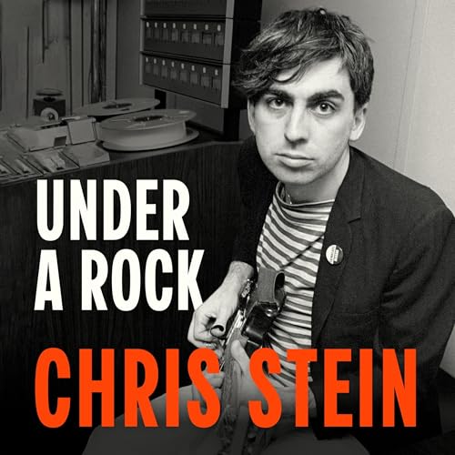 Cover of Under A Rock