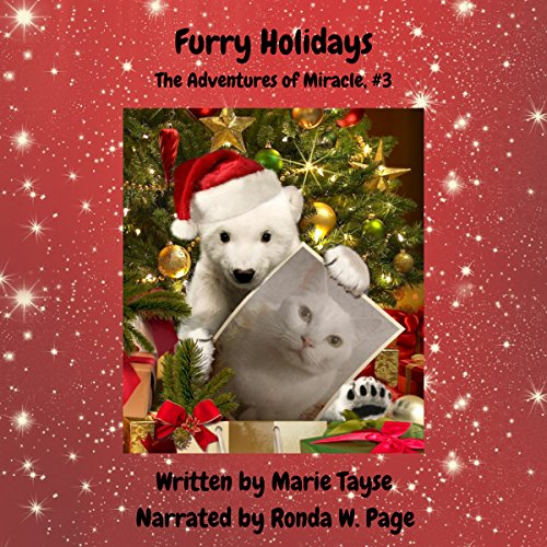 Cover of Furry Holidays
