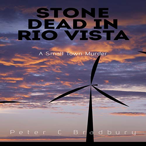 Cover of Stone Dead in Rio Vista