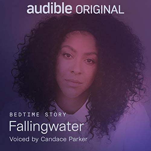 Cover of Fallingwater