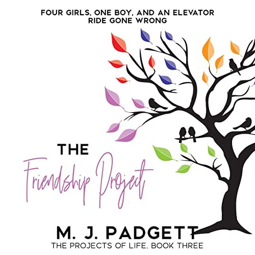 Cover of The Friendship Project
