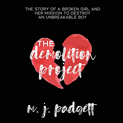 Cover of The Demolition Project