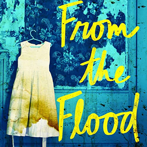 Cover of From the Flood
