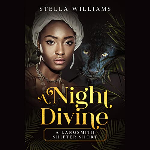 Cover of A Night Divine