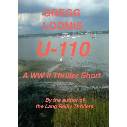 Cover of U-110
