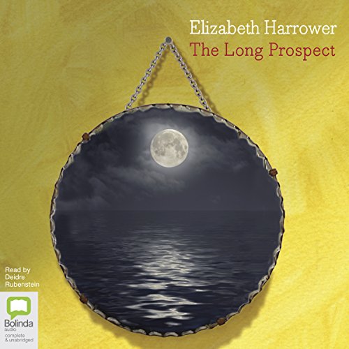 Cover of The Long Prospect