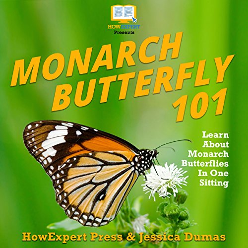 Cover of Monarch Butterfly 101