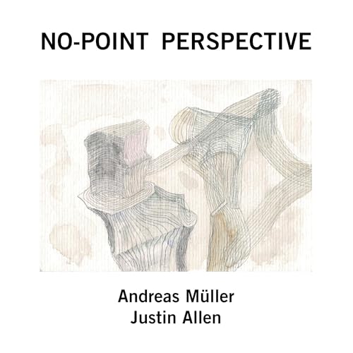 Cover of No-Point Perspective