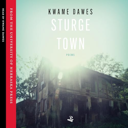 Cover of Sturge Town