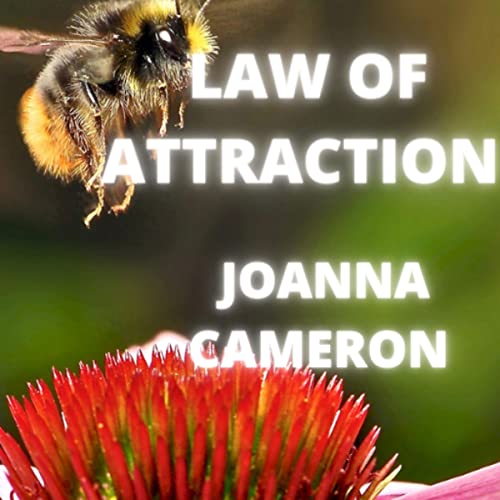 Cover of Law of Attraction
