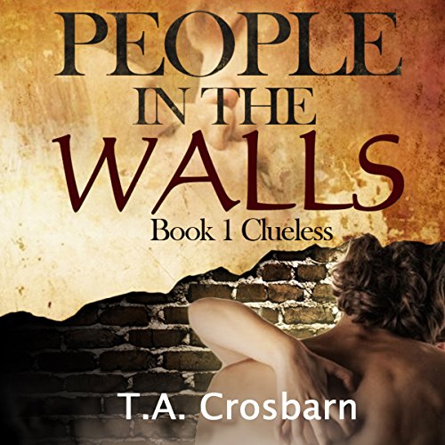 Cover of People in the Walls