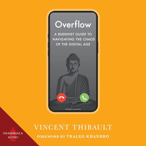 Cover of Overflow