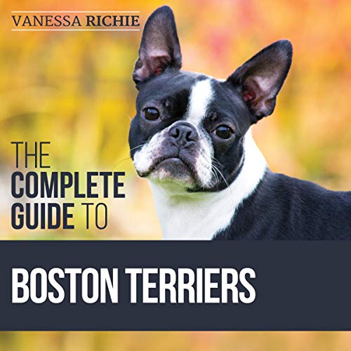 Cover of The Complete Guide to Boston Terriers