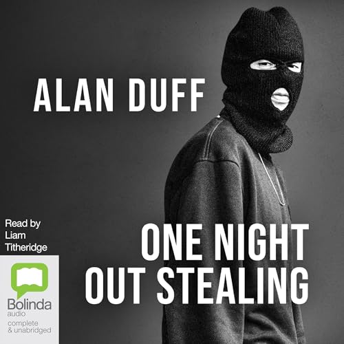 Cover of One Night Out Stealing
