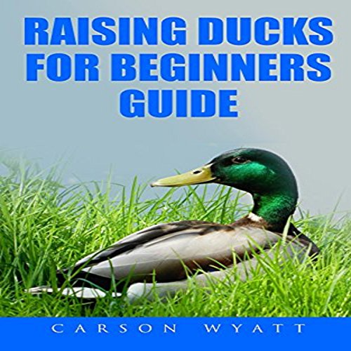 Cover of Raising Ducks for Beginners Guide