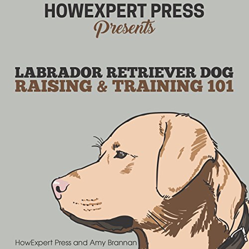 Cover of Labrador Retriever Dog Raising & Training 101
