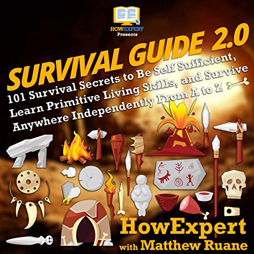 Cover of Survival Guide 2.0