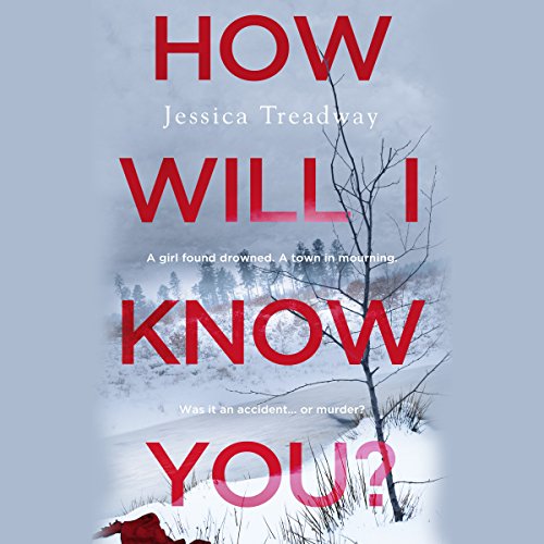 Cover of How Will I Know You?